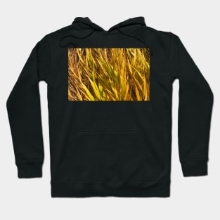 Fertile Fall Field of Possibility Hoodie